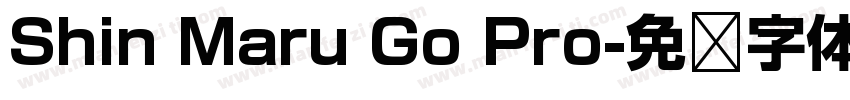 Shin Maru Go Pro字体转换